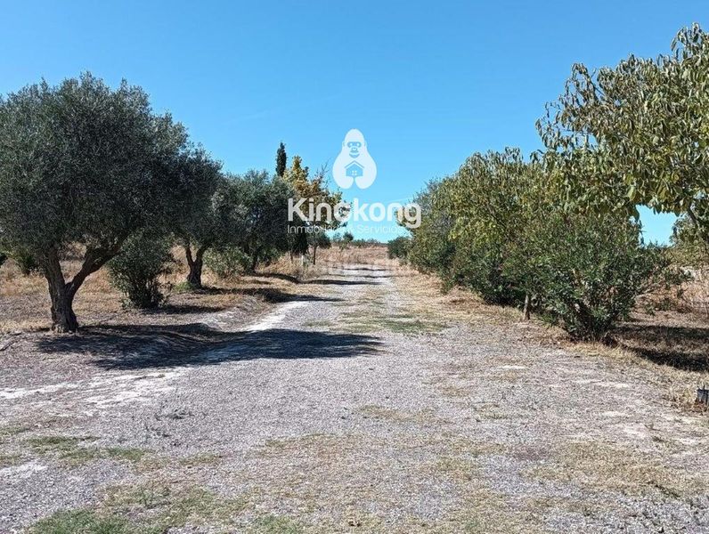 Foto 1cc59ed5-fa97-4e20-8f03-b89b67f43d5b. Terreny residencial a Belinchón