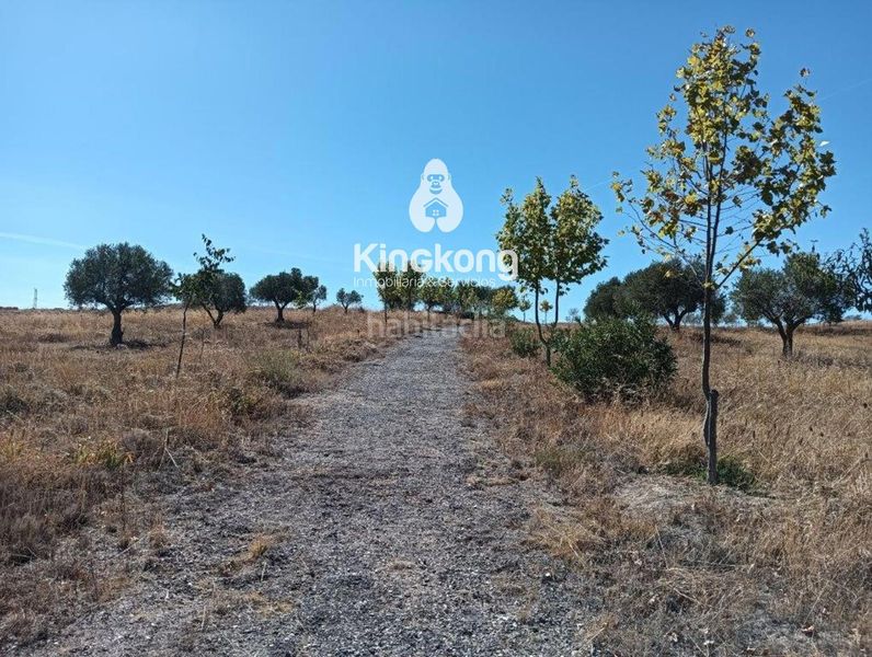 Foto 400c06cf-e234-4898-b232-06d395a3d914. Terreny residencial a Belinchón