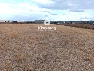 Finca rústica en Zona Industrial. Parcela rustica en venta en arganda del rey.