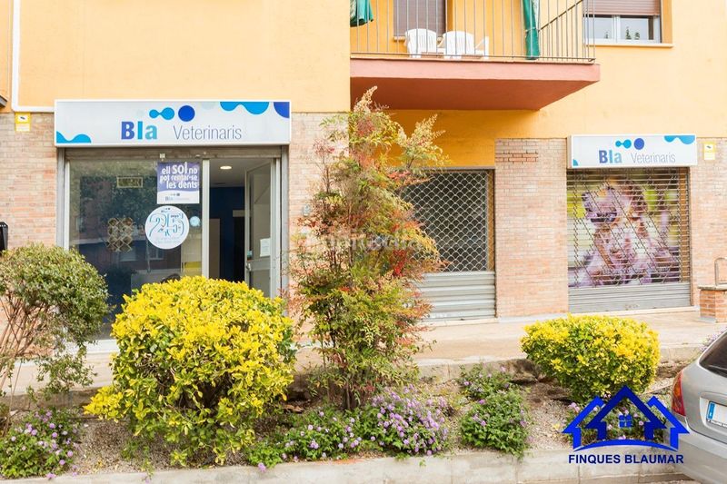 Foto 1ee69697-b97c-4f86-b747-6d5c2e3b61cf. Local comercial a Zona alta Arenys de Mar