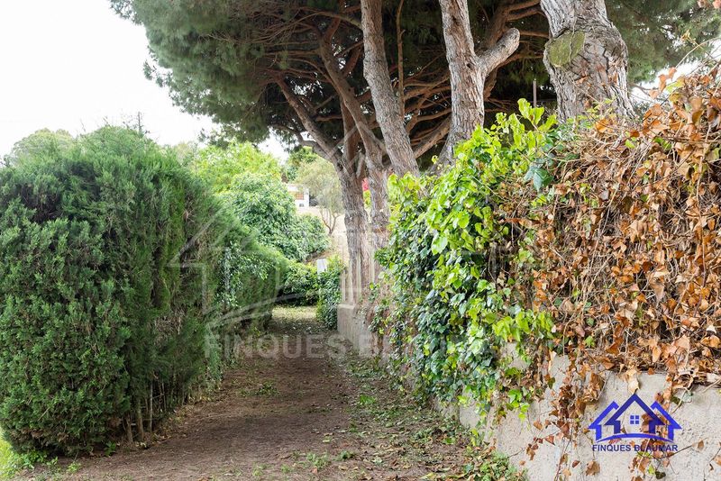 Foto f877202e-f057-4a7d-9694-8eccba59c85c. Finca rústica a Urbanitzacions Arenys de Mar