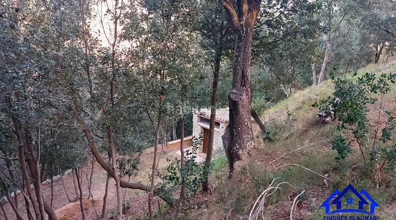 Foto 176a1fa3-c8fd-4038-999b-0c256d9a8f28. Finca rústica a Arenys de Munt