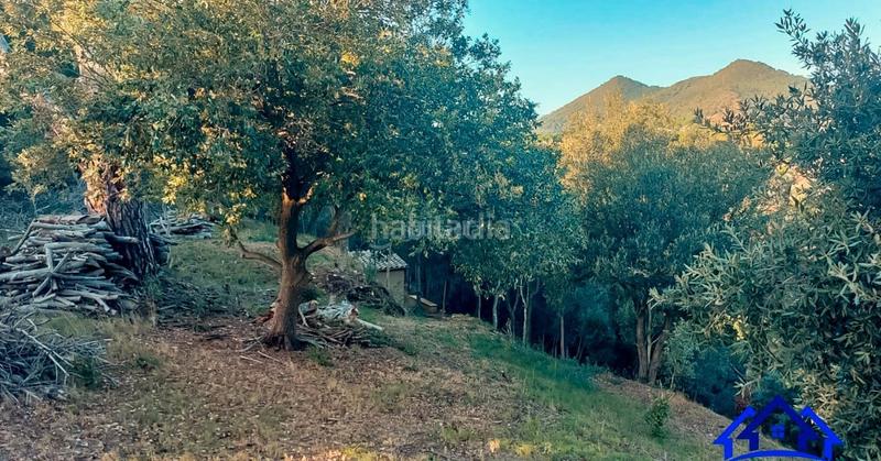 Foto 1ee453f7-f642-4f91-8872-48680ca0db49. Finca rústica a Arenys de Munt