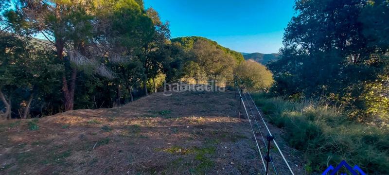 Foto 4c8f62fd-14de-448c-b652-4b553ba5fa5a. Finca rústica a Arenys de Munt