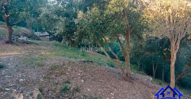 Foto 5adc6ae1-b785-4bda-9a02-8d70030ecae7. Finca rústica a Arenys de Munt