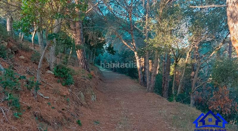Foto a59fa7e1-b0a6-4167-bc27-2d627c52208e. Finca rústica a Arenys de Munt