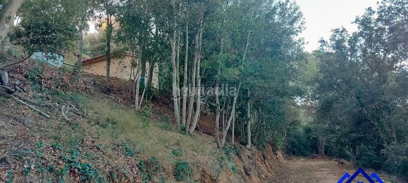 Foto a7111e91-fa8c-402f-b695-55bcd8af9de0. Finca rústica a Arenys de Munt