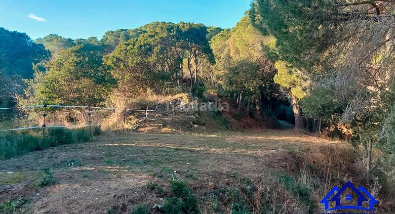Foto c1ca1e72-c061-4075-aa02-1e0c01679c74. Finca rústica a Arenys de Munt