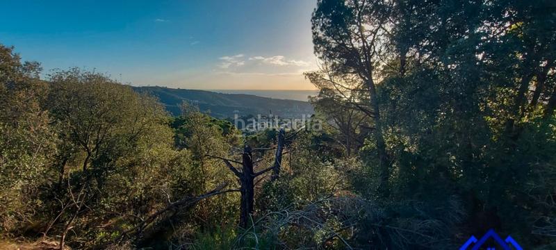 Foto cc3a625b-15d2-48e3-9dec-8692be8502cc. Finca rústica a Arenys de Munt