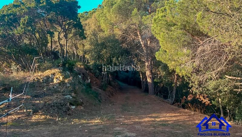 Foto cf49b619-a589-4a7a-8022-b0ca8e3a57f6. Finca rústica a Arenys de Munt