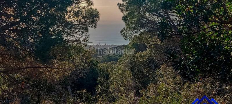 Foto e47d7a32-7ef3-4bfe-871f-f977c9032263. Finca rústica a Arenys de Munt