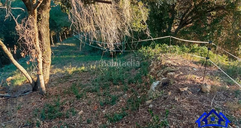 Foto eb7de655-26be-4dcb-9c76-e99580f4e060. Finca rústica a Arenys de Munt