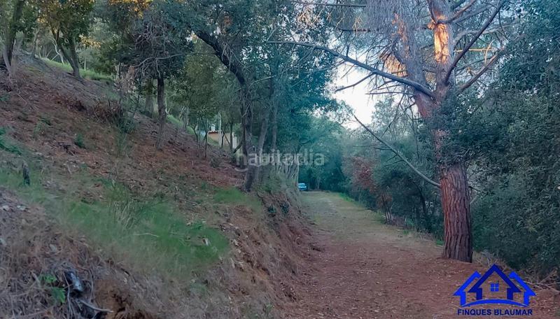 Foto eccae317-156c-4825-8eb9-cad5eddcc814. Finca rústica a Arenys de Munt