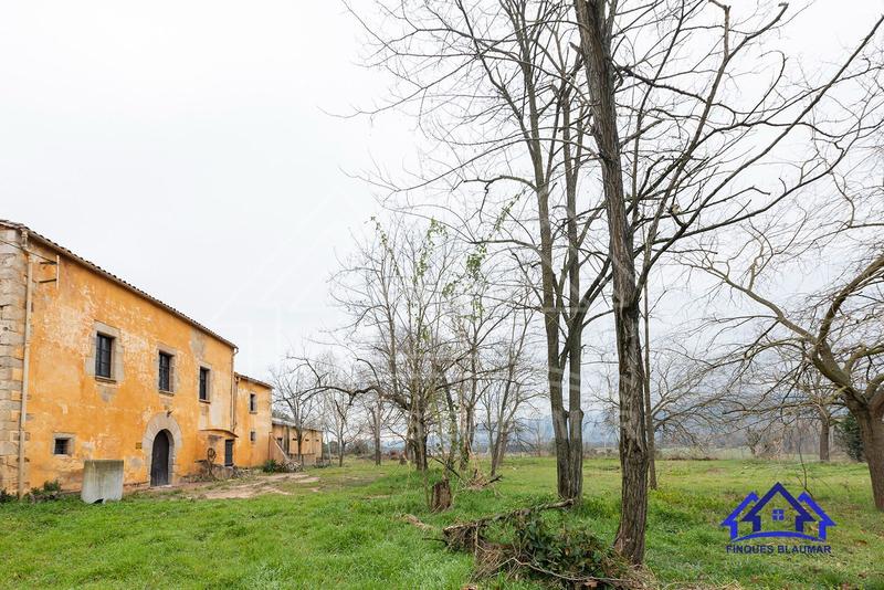 Foto 180ee020-1891-4d92-942c-f82ae17ea7c2. Bauernhof in Breda