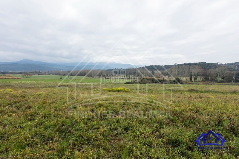 Foto 2565ca57-0238-45b2-847f-639c624ff302. Masia a Breda