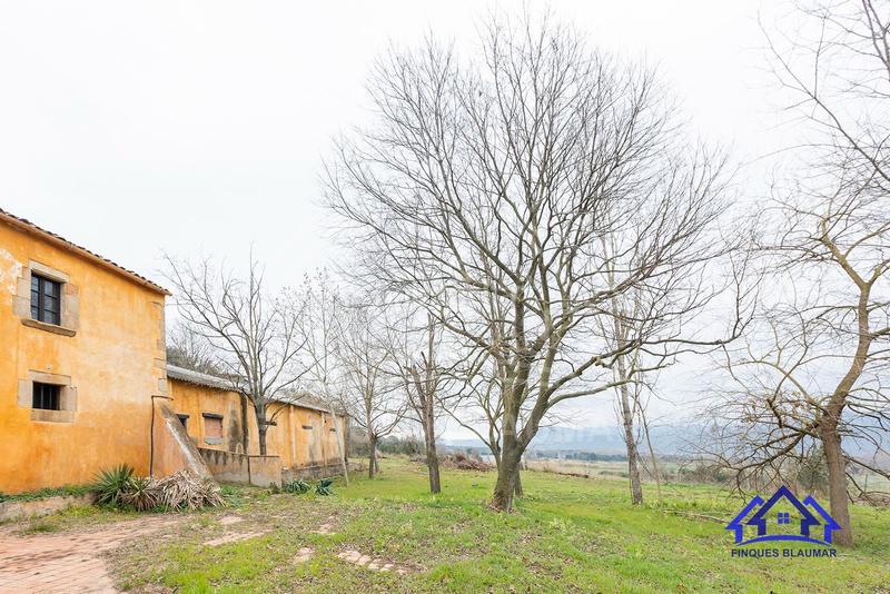 Foto 3c8be2fb-6e03-463c-93ba-17f8b994ddf9. Bauernhof in Breda