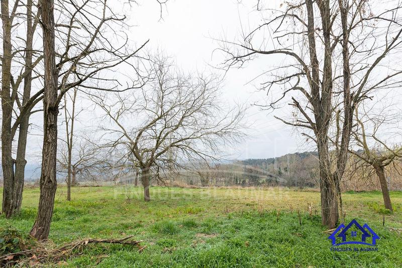 Foto 5a8cb1b3-ee0b-4810-b6f2-ab0263c7264f. Bauernhof in Breda