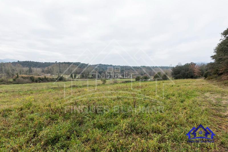 Foto 62561b12-5253-4091-8bf9-d1d15c9043f1. Bauernhof in Breda