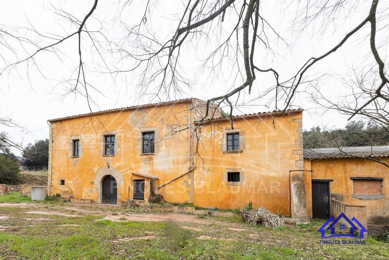 Foto 625f40b4-f33f-45c0-b797-c6b01059e04d. Bauernhof in Breda