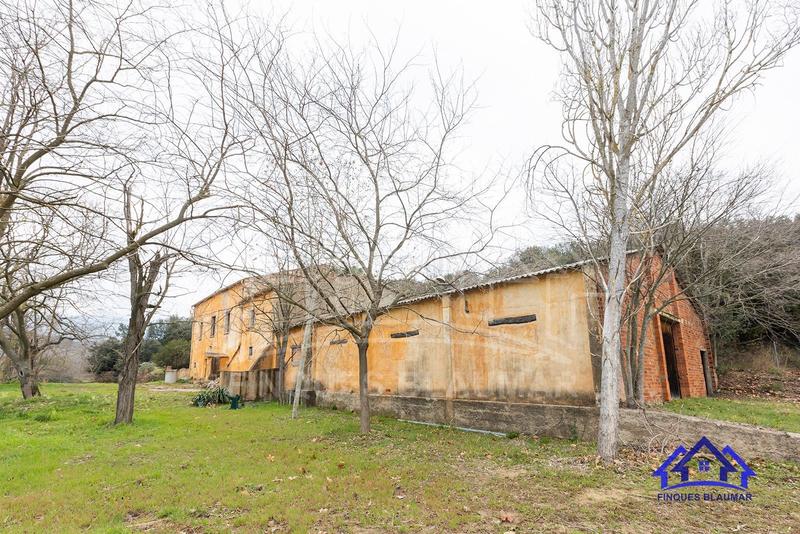 Foto b8276ae8-248d-416a-aa89-8a50cee2dd66. Bauernhof in Breda