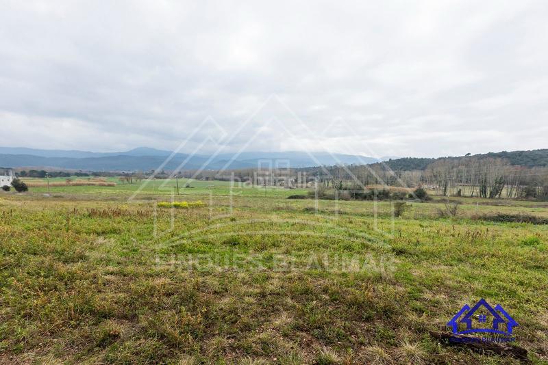 Foto d8d51b0e-18dc-4ec8-8f37-89f1c96b7f2f. Bauernhof in Breda