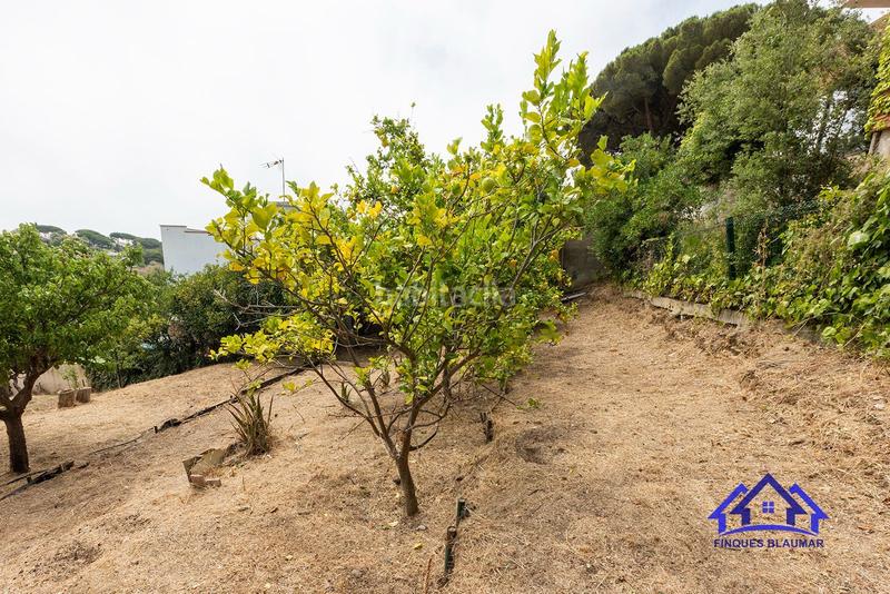 Foto b66aa304-4dcf-4f9e-891d-51dd3011dcfb. Terreno residencial espectacular parcela edificable en exclusiva en Arenys de Mar