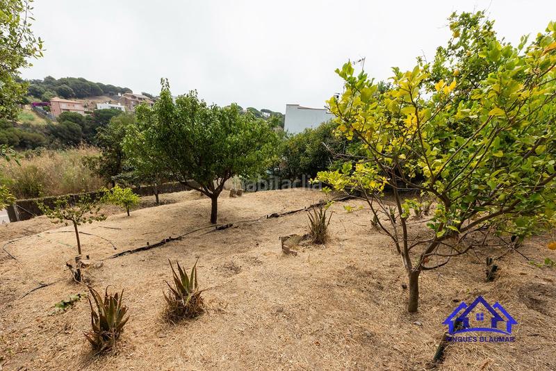 Foto ff14ffc1-6194-4128-8efa-2c416c740512. Terreno residencial espectacular parcela edificable en exclusiva en Arenys de Mar