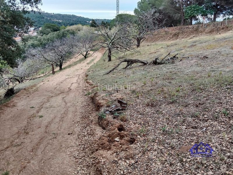 Foto 027b08aa-2601-40b7-895d-ae05947a00de. Finca rústica a Arenys de Munt