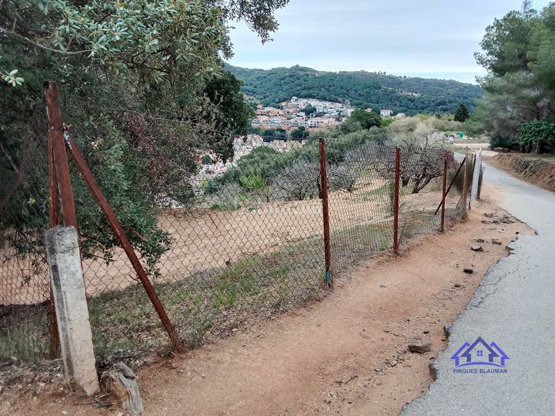 Foto 0f39c2d7-b7fb-4ce8-96b7-a50f7b37cbd3. Finca rústica a Arenys de Munt