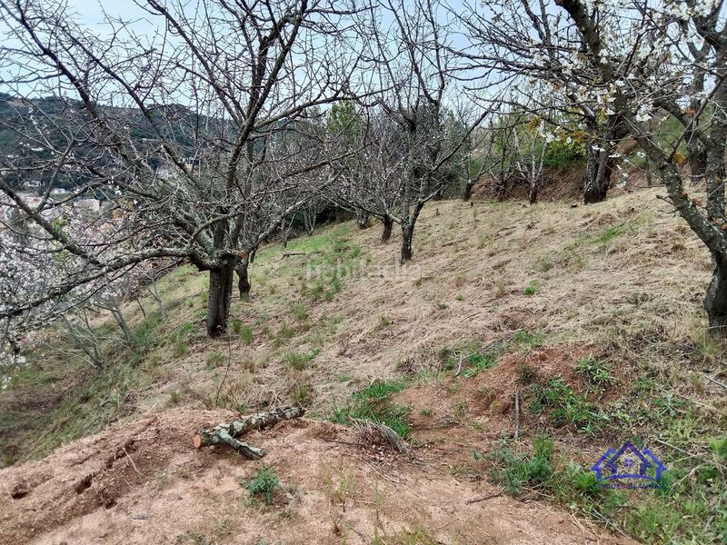 Foto 4fa47fd3-f2bb-4bd2-9513-01cc3d59aa47. Finca rústica a Arenys de Munt