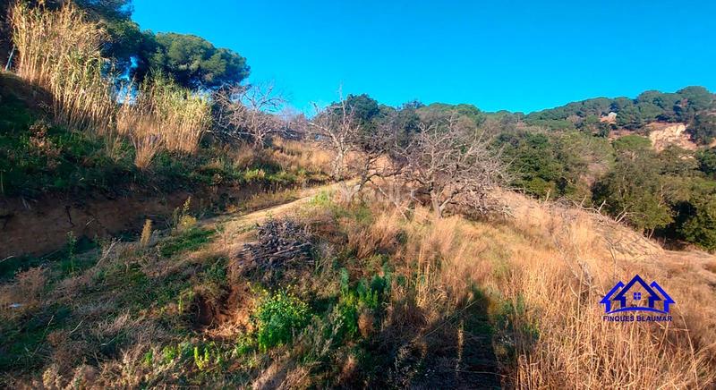 Foto 64db8854-86a7-4087-bf30-f792b4c63041. Finca rústica a Arenys de Munt