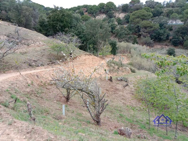 Foto 68e325d6-0a18-4e19-80f9-ce36c7c83761. Finca rústica a Arenys de Munt