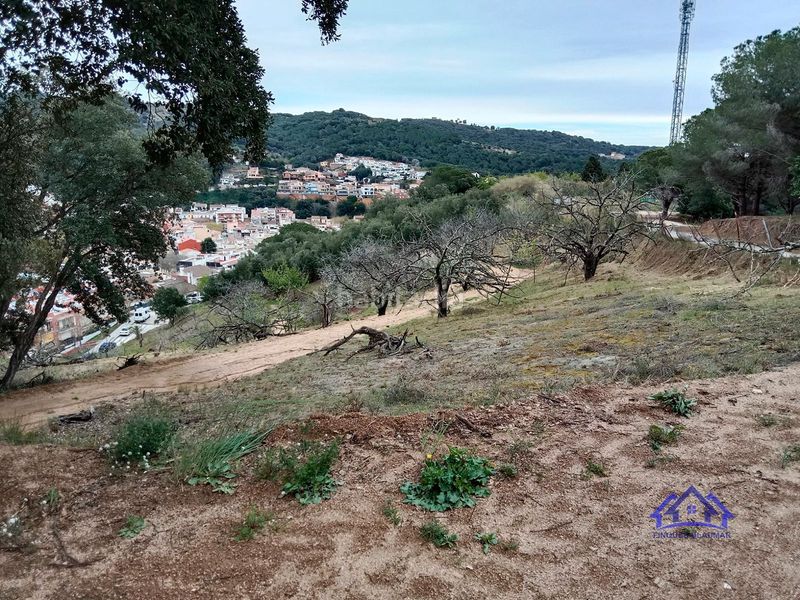 Foto 7863c7cf-1861-4869-b27f-9869407818b5. Finca rústica a Arenys de Munt