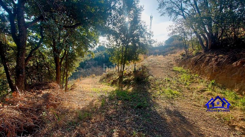 Foto 8a5abbea-48fa-49fd-9709-1a36e31ea38c. Finca rústica a Arenys de Munt