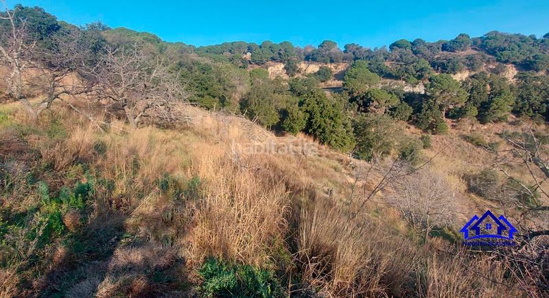 Foto a3ebaf7c-dcf4-4c28-b123-e1d3db659482. Finca rústica a Arenys de Munt