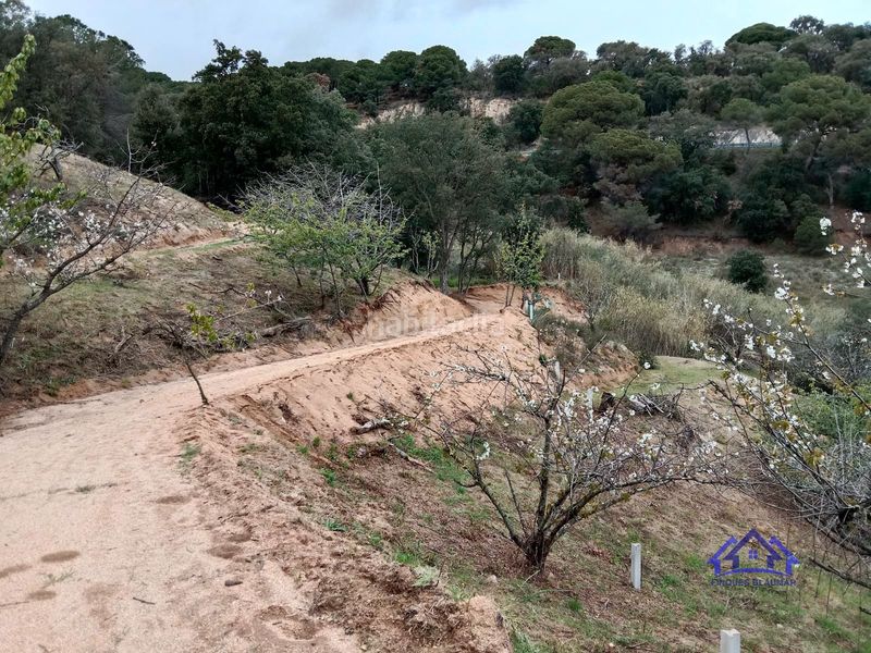 Foto a4cec32d-8daa-4ad8-aba1-5f1ac7a56298. Finca rústica a Arenys de Munt