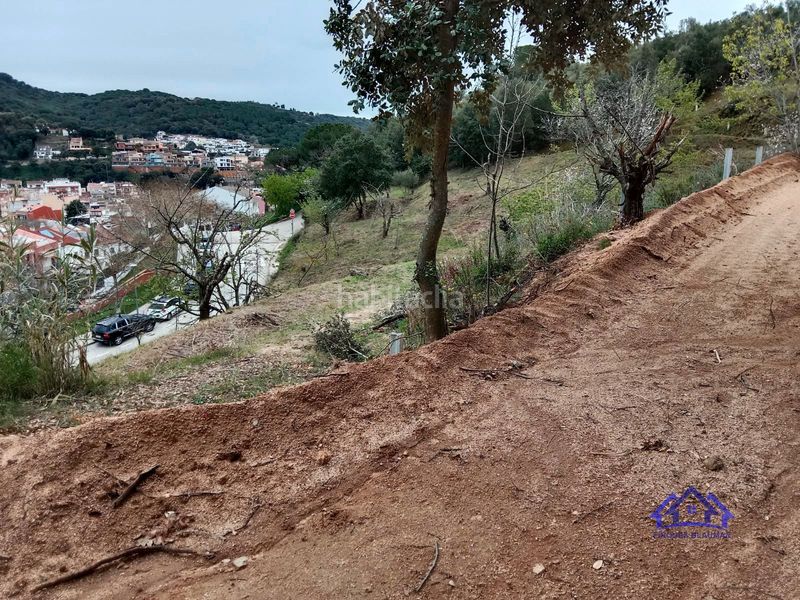 Foto b73e8dd5-91d7-420f-820f-fb049fe2d152. Finca rústica a Arenys de Munt
