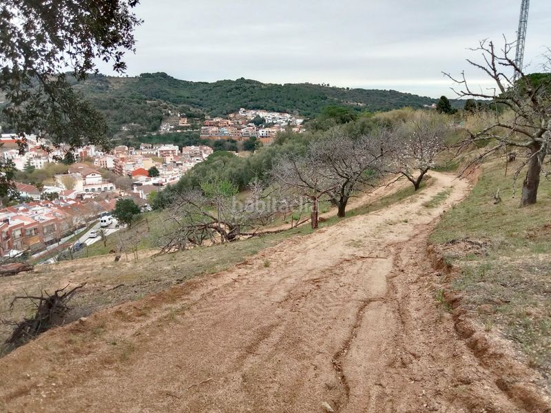 Foto e65dc6c3-ba2a-471e-9ca9-26b9c8b01f4e. Finca rústica a Arenys de Munt