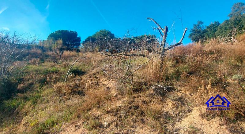 Foto e6af4ae5-14fc-4269-8fe7-a86424032d94. Finca rústica a Arenys de Munt