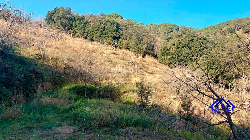 Foto f0adc8f4-e107-466b-b7ba-110ef155e16b. Finca rústica a Arenys de Munt