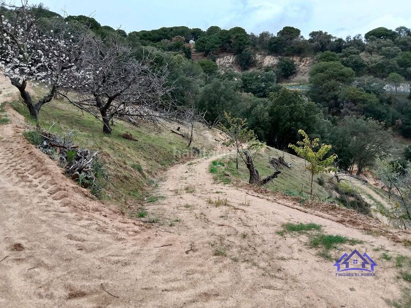 Foto f2e0e041-c86c-4089-a169-3454436a4d60. Finca rústica a Arenys de Munt