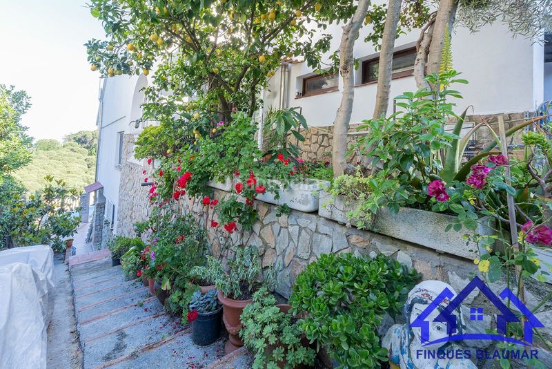 Foto e7c131a3-1881-404c-82a1-659181396776. Casa amb calefacció piscina a Sant Iscle de Vallalta