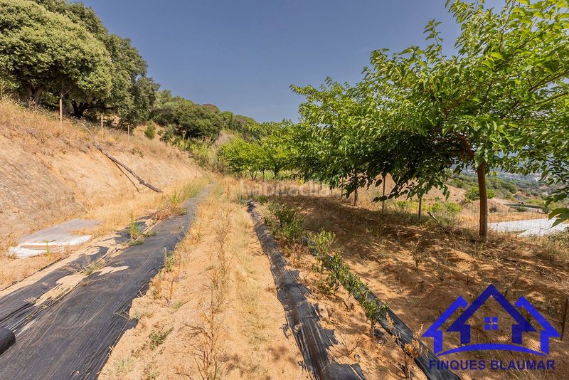 Foto 48d5e9e3-63a5-4d2d-81a6-bf885305f50a. Finca rústica a Arenys de Munt
