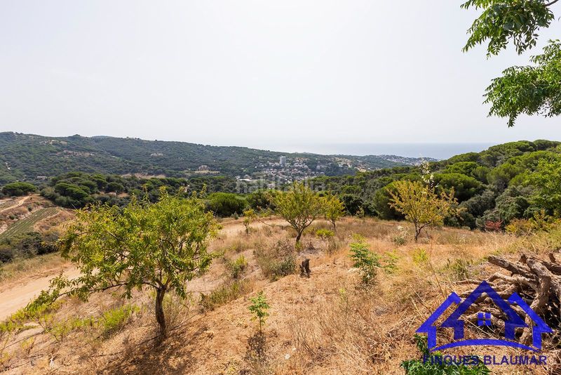 Foto d56a933e-2a1d-4349-b2e2-ea42e84c59f7. Finca rústica a Arenys de Munt