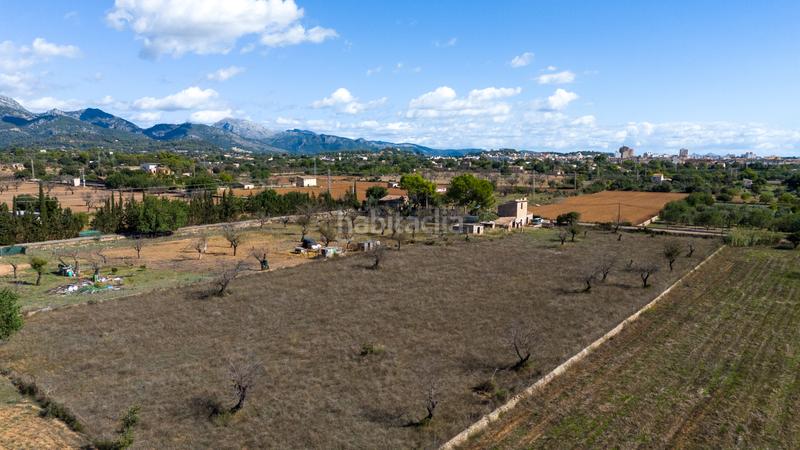 Foto 2bd3a1b4-5f5e-434d-a8bf-ff17470b5b8e. Maison dans Gran Via de Colom Inca