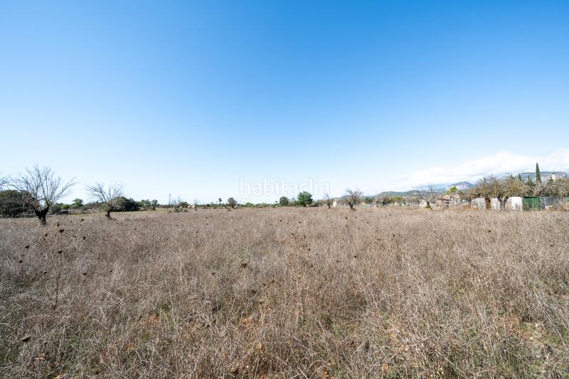 Foto d3f2ce43-8753-4b53-a0e3-fe4cf5654c20. Maison dans Gran Via de Colom Inca