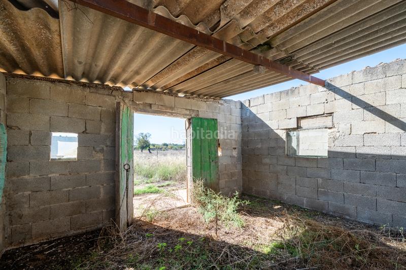 Foto dc7df137-c0fc-47c4-8180-a86a72b84b09. Maison dans Gran Via de Colom Inca