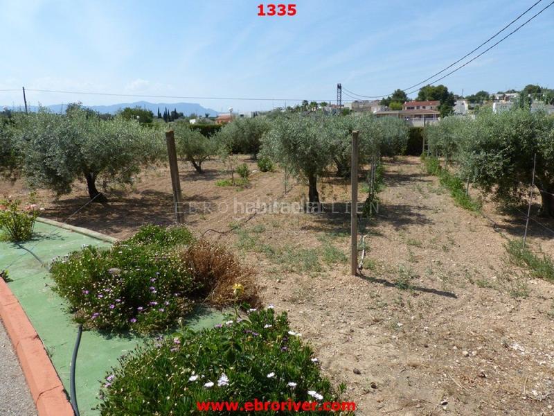 Foto a64961d5-b8d3-489c-8422-3ba20b47b8e9. Chalet en Casc Antic Amposta