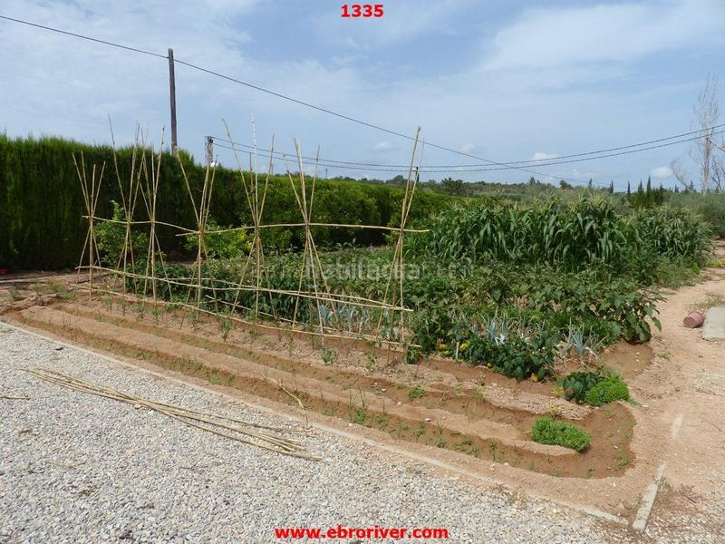 Foto e0e35063-0576-4e03-a1a4-8dfddcc49f18. Chalet en Casc Antic Amposta