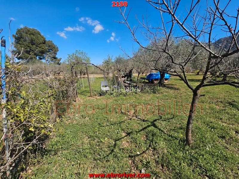 Foto f5c520eb-cc22-498e-b318-317c97ed7842. Masía casa rústica en Freginals